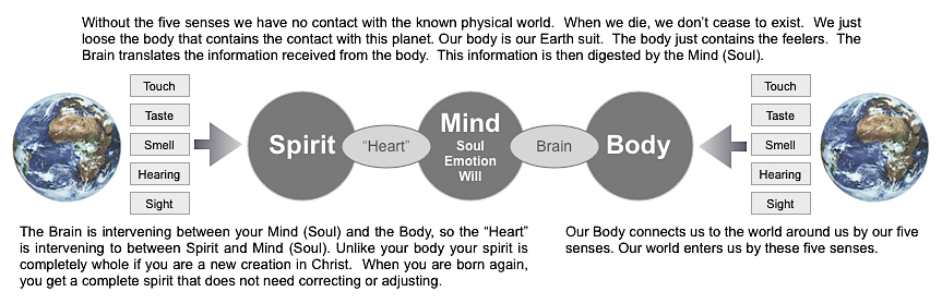 Spirit - Mind - Body